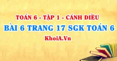 Bài 6 trang 17 SGK Toán 6 tập 1 Cánh Diều